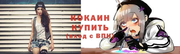 мет Каменка