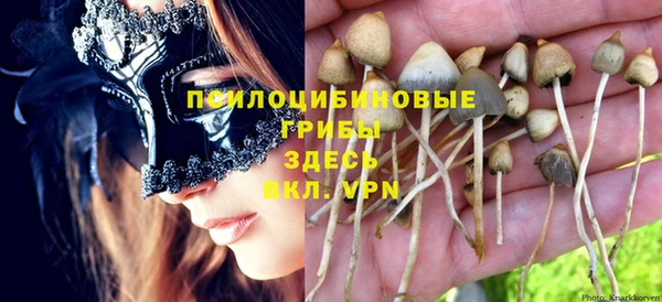 мескалин Каменногорск