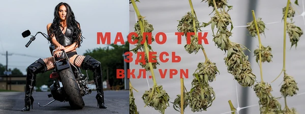 спиды Карталы