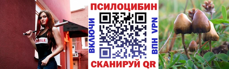 Псилоцибиновые грибы прущие грибы  закладка  Ильский 